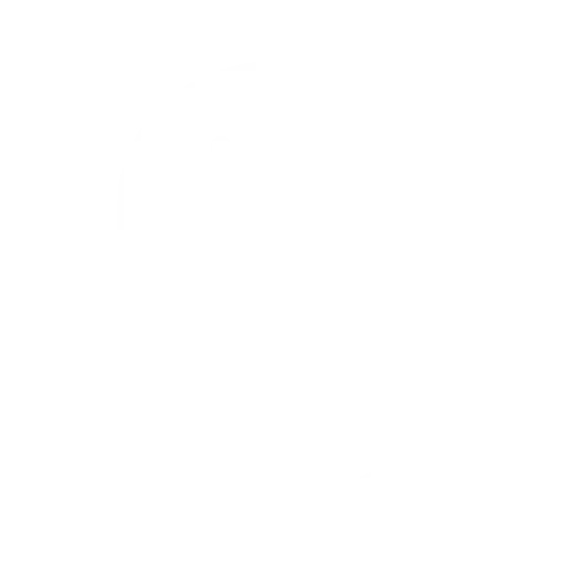 Hallgatói asszisztens